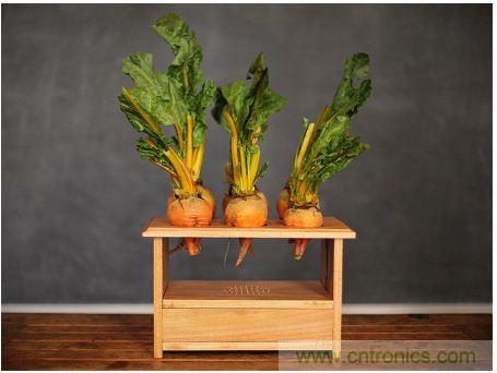 害怕圣誕節(jié)沒創(chuàng)意？看看發(fā)燒友們怎么過圣誕