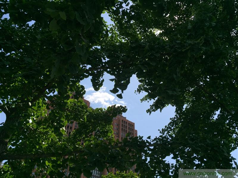 無邊框的 nubia Z9 ，一款既有驚喜，又有驚艷的智能手機(jī)