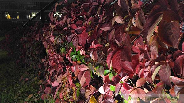 業(yè)界良心 LG V10 評測:剛毅、冷峻，不失人性化