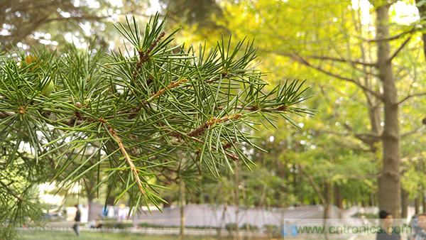 業(yè)界良心 LG V10 評測:剛毅、冷峻，不失人性化