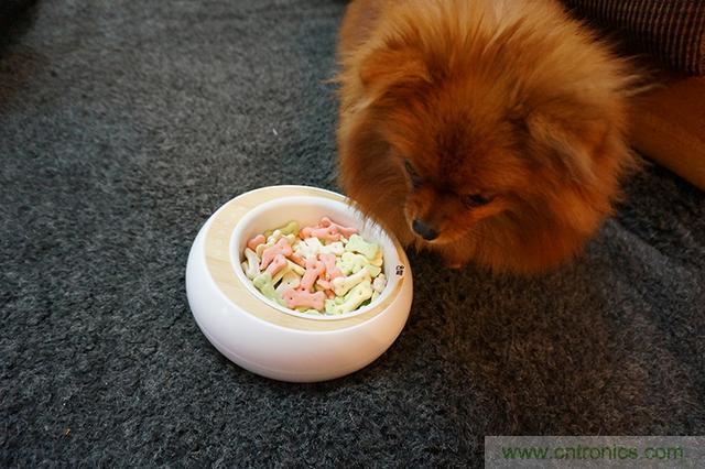 科學喂養(yǎng)從狗娃做起&mdash;&mdash;逗愛乖乖碗測試