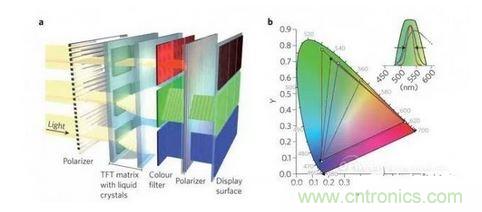  LCD顯示器示意圖。TFT表示薄膜晶體管（thin-film transistor）。