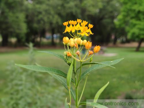 無數(shù)的拍攝，只為成就一個(gè)完美回憶