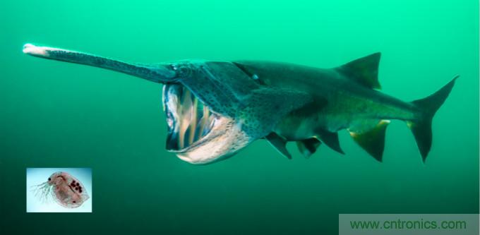 檢測(cè)不到信號(hào)，是加點(diǎn)噪聲？還是濾除噪聲？