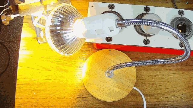 電燈泡內(nèi)通有交流電，為什么看不到燈泡在閃爍？