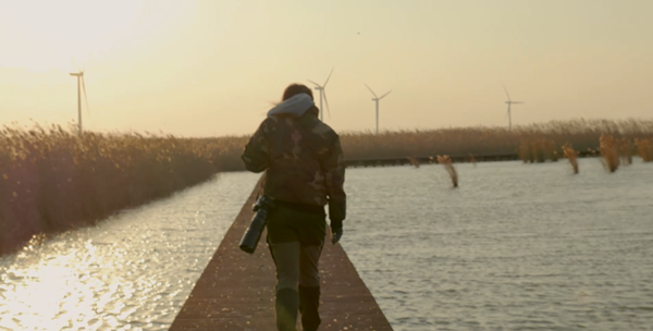 世界濕地日：海康威視攜手一個(gè)地球自然基金會(huì)，在上海守護(hù)這個(gè)重要“驛站”