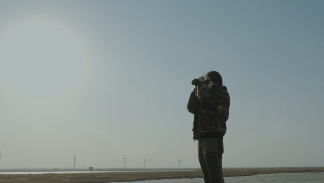 世界濕地日：?？低晹y手一個(gè)地球自然基金會(huì)，在上海守護(hù)這個(gè)重要“驛站”