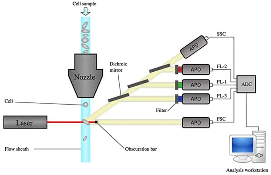 解決了！這個模塊解決了流式細胞儀設計的多個痛點！